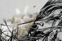 esboço do rosto da mulher esboço do rosto da mulher